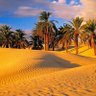 بدر الناصر profil fotoğrafı
