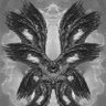 ///Spiral_Paradox///'s profile picture