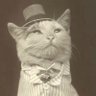 Фото профиля Aristocat