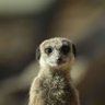 Profilbild von Lucas