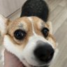 Anton 的头像