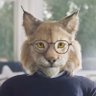 Profilbild von Danthestep I The Cat Historian