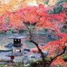 金っち profil fotoğrafı