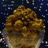 Фото профиля Popcorn