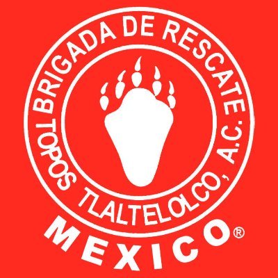 Topos® México's profile picture
