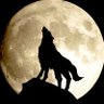 Фото профиля wolf