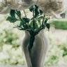 大开眼界的我 profil fotoğrafı