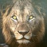 Profilbild von Casper