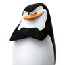 KnightStand profil fotoğrafı