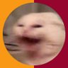 Profilbild von Snoop CAT 🐈
