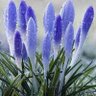 Фото профиля Aishaaishh