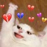 Profilbild von พีนัทพาวเด้อ 𝜗𝜚˚🧸ྀི
