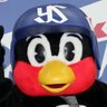 ツバメ's profile picture