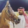 Mohammed Alsubaie's profile picture