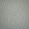 Miguel Angel Ortega's profile picture