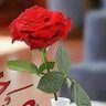عابرسبيل's profile picture