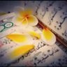 Profilbild von هہدى مہصہطہفہى ....