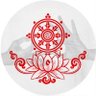 Shinta Effendi's profile picture