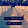 Bo Alaa 的头像