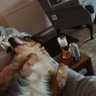 Фото профиля Fanny Is Bored with being Gas Lighted