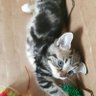 Supergran64 profil fotoğrafı
