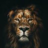Vue Sur Le Monde's profile picture