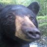 we live in a forest's profile picture