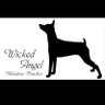 Wicked Angel ミニピン profil fotoğrafı