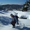Σόιμπλε profil fotoğrafı