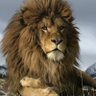 Rob Waters's profile picture