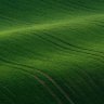Фото профиля 天空飘来一朵浮云