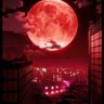 快递就到家's profile picture