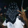 Roozvelty's profile picture