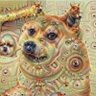 DogeMan🐶 的头像