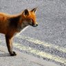 martin rawlings's profile picture