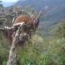 Sandy profil fotoğrafı