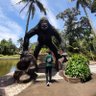 Rifki R V profil fotoğrafı