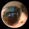Profilbild von Sofiaaa316