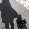 Profilbild von MAYU