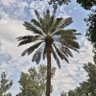 🇸🇦 عبدالعزيز 的头像