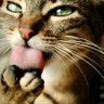 Дядя Паша profil fotoğrafı