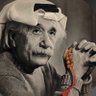 ALI 𝕏's profile picture
