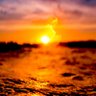 . profil fotoğrafı