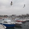 Geldünyama profil fotoğrafı