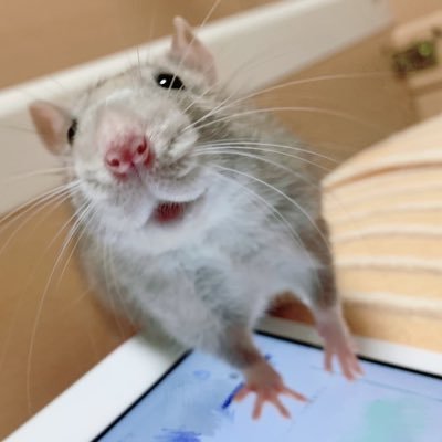 lpnskwii's profile picture