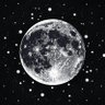 Silvermoon's profile picture