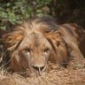 Alatash - አላታሽ 📌's profile picture