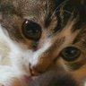 Mp2402's profile picture