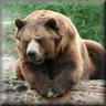 Profilbild von El Oso (aka:Griz)