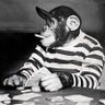 E.L. Percy Bell's profile picture